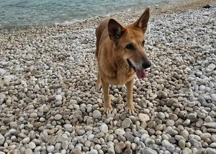 Haus Rudi- Rustikalna Oaza Mira * Krsan