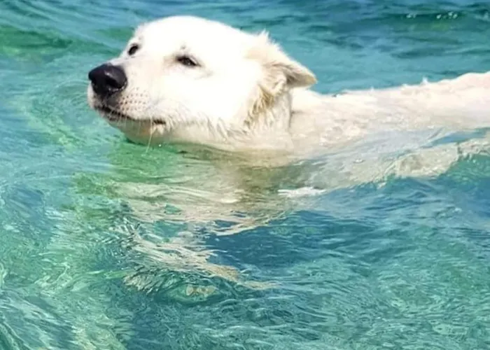 Haus Rudi- Rustikalna Oaza Mira Krsan